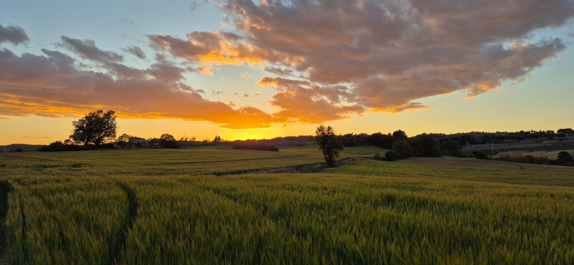 Can Gasol Turisme Rural Guialmons エクステリア 写真