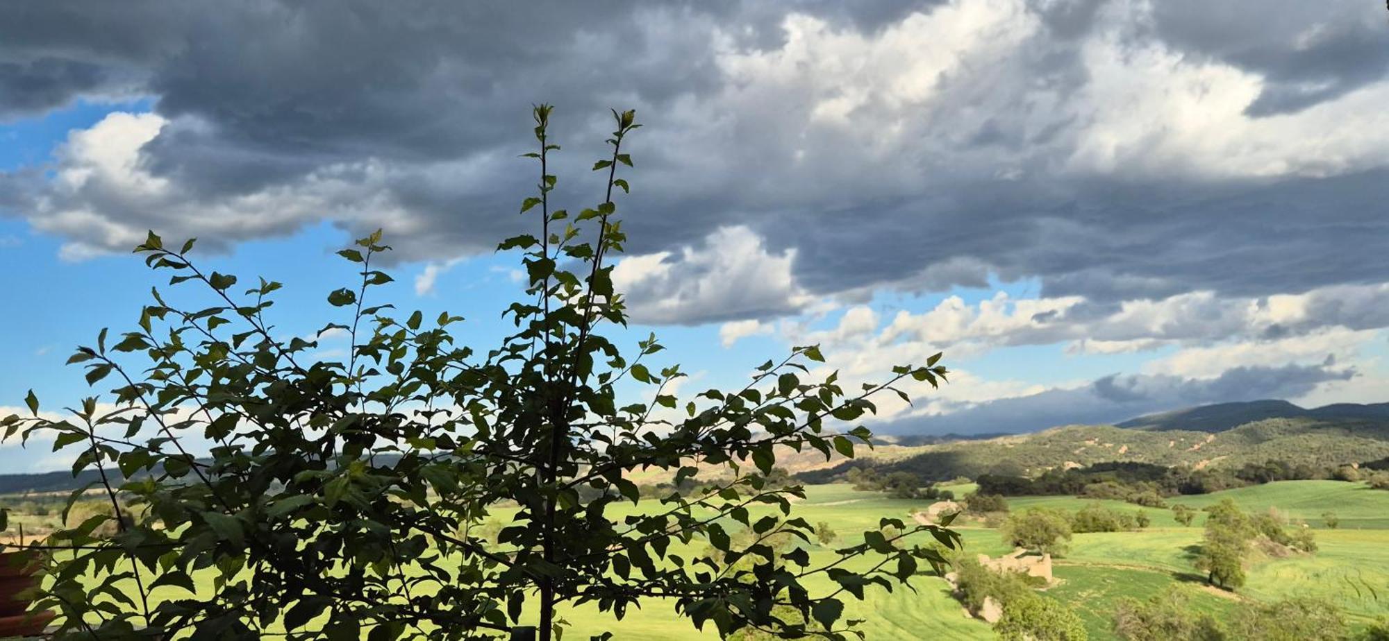 Can Gasol Turisme Rural Guialmons エクステリア 写真