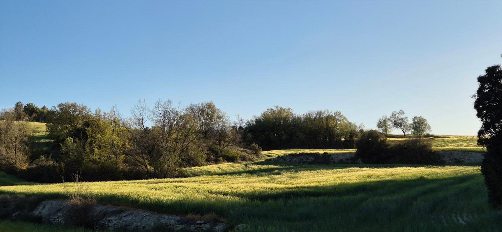 Can Gasol Turisme Rural Guialmons エクステリア 写真